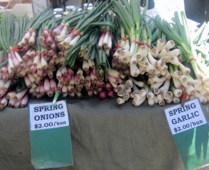 Ferry Bldg Farmers' Market on a Tuesday -spring onions